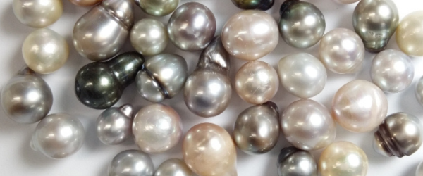 Loose natural south sea pearls